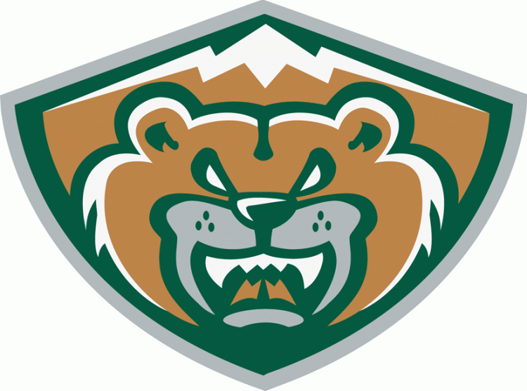 Everett Silvertips 2012 13-Pres Alternate Logo vinyl decal